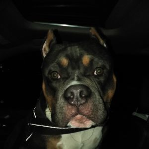 Meet your Posher, Mike